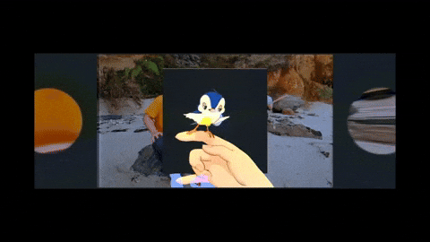 gif-48