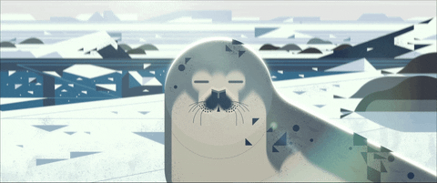 gif-13