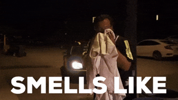 No Way Bullshit GIF by StittsvilleOnPatrol No Way Bullshit GIF by StittsvilleOnPatrol