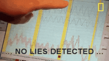 Truth No Lies Detected GIF by MOODMAN Truth No Lies Detected GIF by MOODMAN