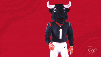 Deshaun Watson Nfl GIF by Houston Texans