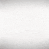 laugh out loud GIF by Hertha BSC