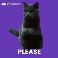 Begging Please Please GIF by Unscreen
