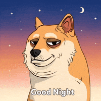 Sleepy Good Night GIF by Doge Pound