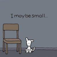 I Love You Dogs GIF by Chippy the Dog