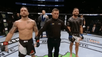 ufc 205 GIF