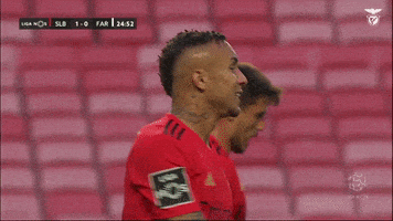 Sl Benfica Smile GIF by Sport Lisboa e Benfica