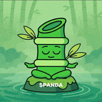 Red Panda Trip GIF by PandaMania