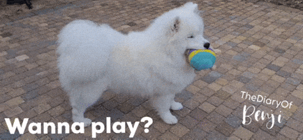 Wanna Play GIF