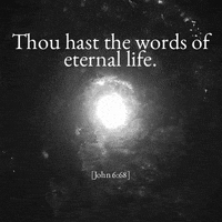 black white love GIF black white love GIF