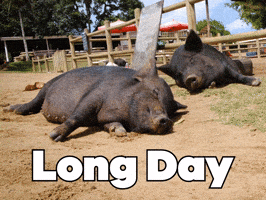 Tired End Of The Day GIF by Sealed With A GIF Tired End Of The Day GIF by Sealed With A GIF