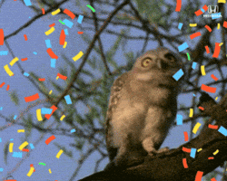 Dance Dancing GIF by Honda Dance Dancing GIF by Honda