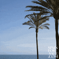 Hello Friends GIF by Spain For Sale