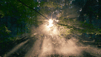 smoke sunset GIF by Living Stills