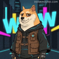Shiba Inu Wow GIF by Doge Pound