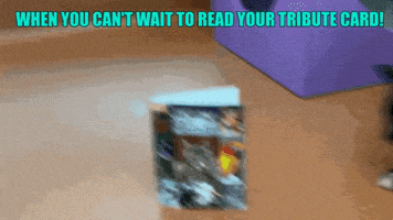 Cat Adopt GIF by Peninsula Humane Society & SPCA