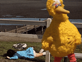 Sesame Street Help GIF by Bell Brothers