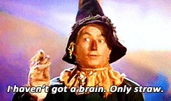 Wizard Of Oz Dorothy GIF