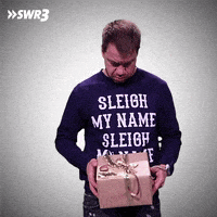 Merry Christmas Wow GIF by SWR3