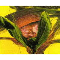 Stop Motion Animation GIF