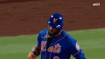 Home Run Celebration GIF by SNY