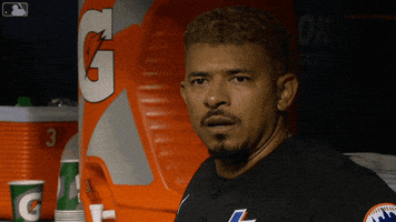 Celebrate Home Run GIF by New York Mets