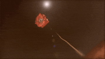 Landing Jet Propulsion Laboratory GIF by NASA