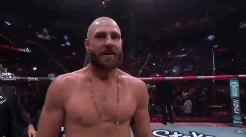 Sport Mma GIF