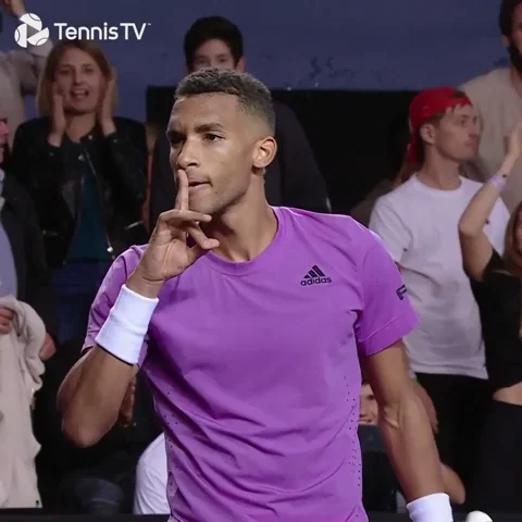 Canadian Celebration GIF