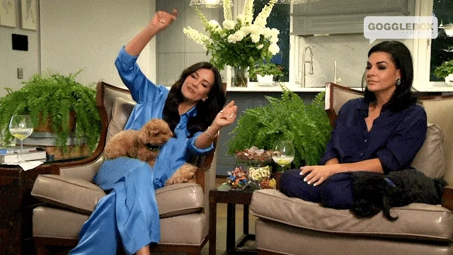 Watching Tv Dancing GIF