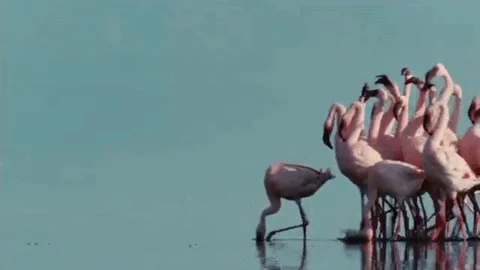 Saturday Morning Weekend GIF