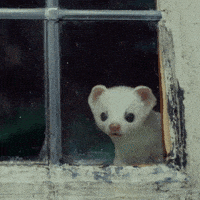 GIF by His Dark Materials