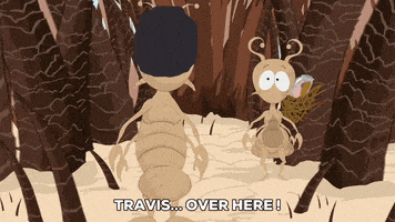 hair watching GIF by South Park 