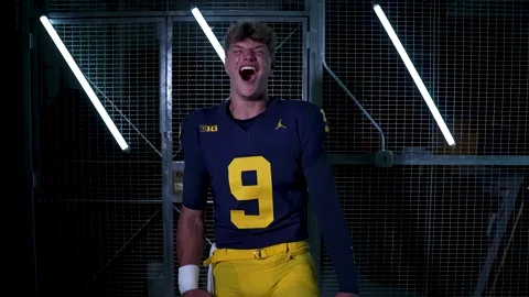 Go Blue Ncaa Football GIF
