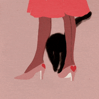 Valentines Day Love GIF by sharon-liu.com