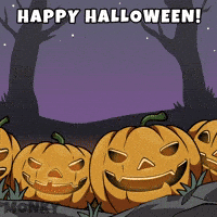 Happy Good Morning GIF by Wise Monkey Meme