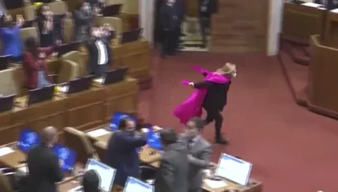 Pamela Jiles Chile GIF