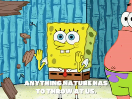 season 6 episode 25 GIF by SpongeBob SquarePants