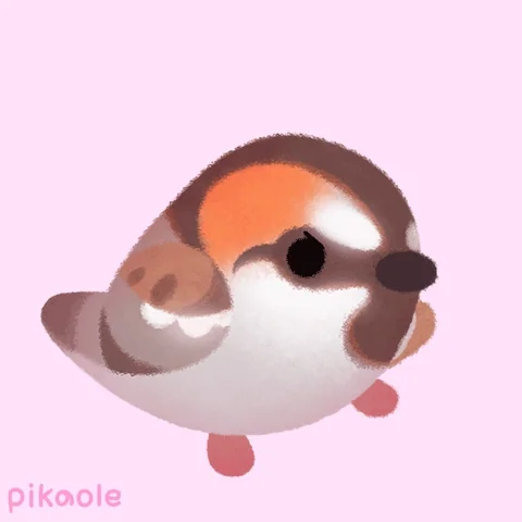 You Got This Bird GIF