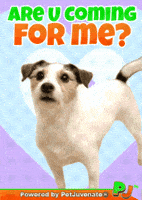 Taylor Trouble GIF by PetJuvenate - PJ