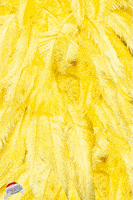 jeremy scott fashion gif GIF by Luca Mainini