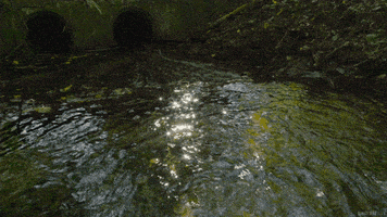 water sun GIF by Living Stills