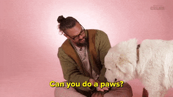 Jason Momoa Puppies GIF by BuzzFeed