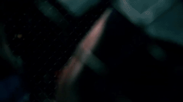 khabib nurmagomedov mma GIF by UFC
