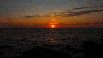 water sea GIF by Living Stills