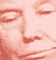 close up portrait GIF by Josh Rigling