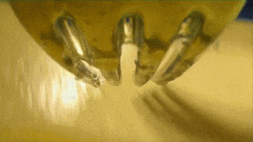 Close Up Eggs GIF by Coral Garvey