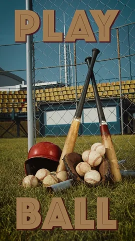 Go Team Baseball GIF