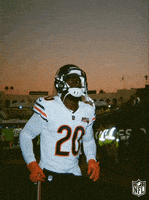 Chicago Bears Football GIF by NFL