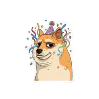 Celebrate You Happy Birthday GIF by Doge Pound